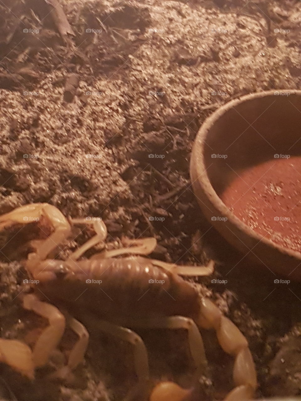 I am creep and I like that!! I am me!!