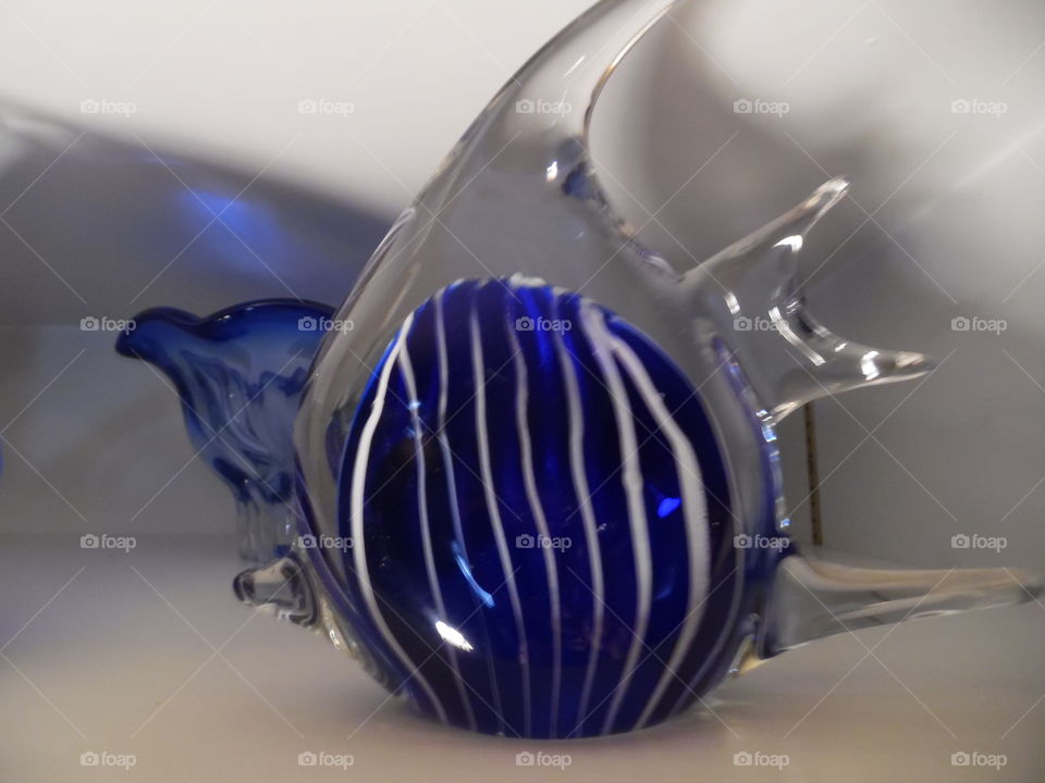 glass 🍷 🐠. This is a picture of a beautiful glass fish 🐠