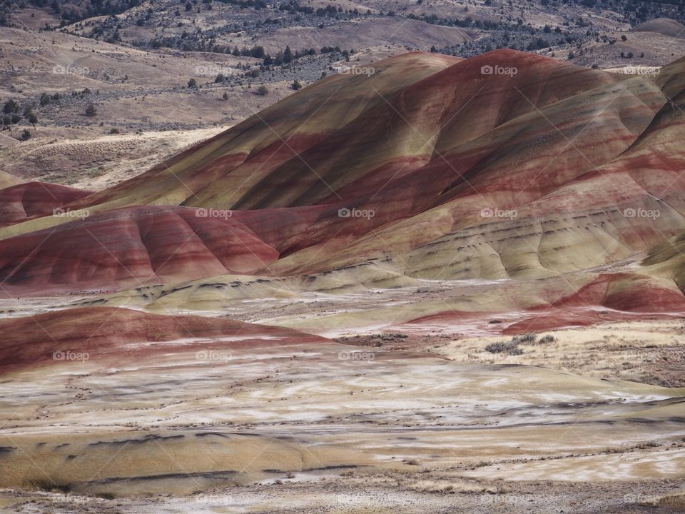 The incredible beauty of the red, gold, and browns of the textured Painted Hills in Eastern Oregon on a bright sunny day.