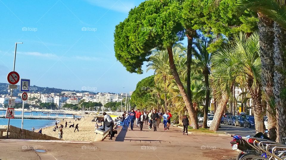 a view of Promenade des Anglais in Nice, France
