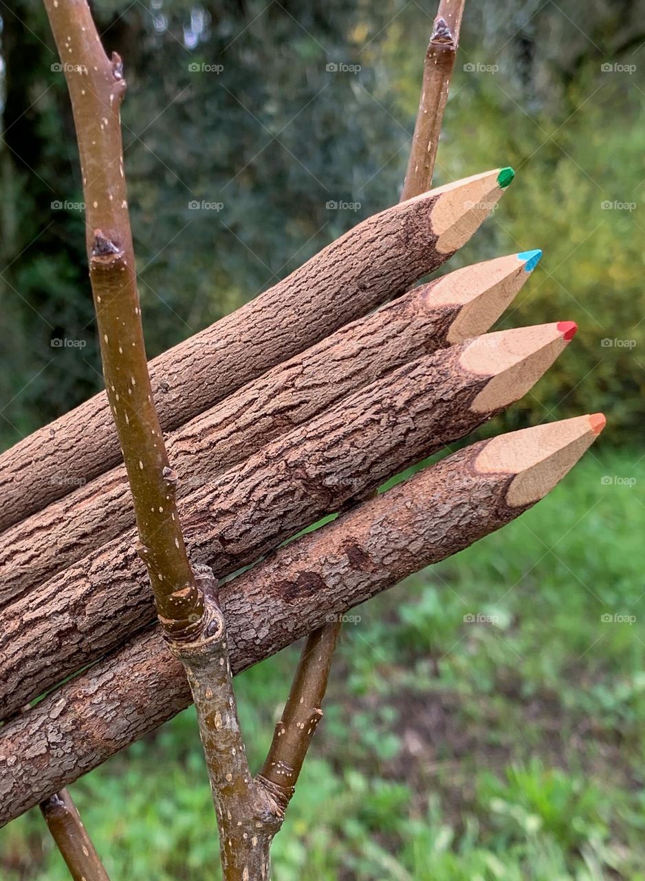 4 twig pencils sitting in the the branches of a tree with a green foliage background 