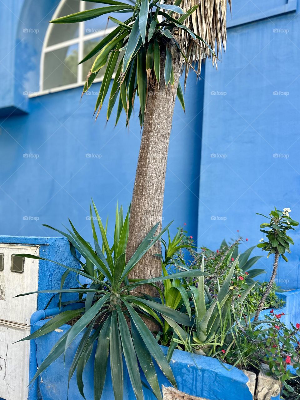 Colorful street lights 