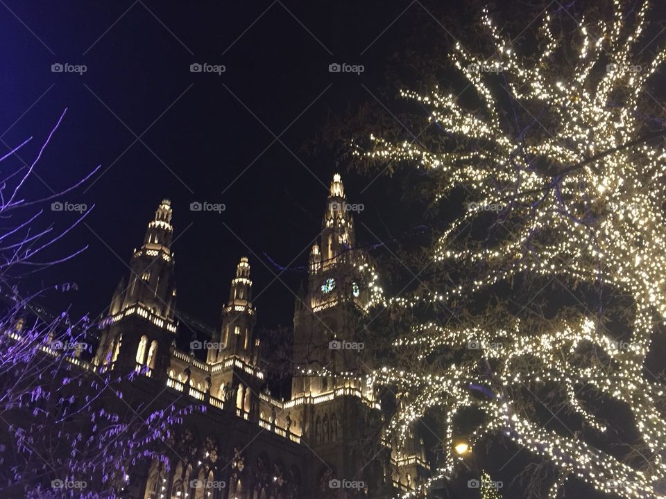 Christmas in Vienna