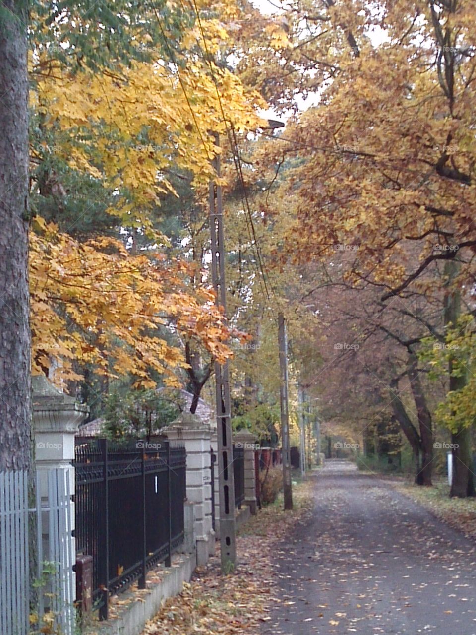 united colors of autumn