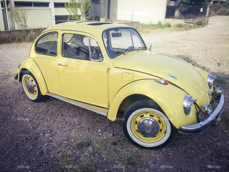 vw bug