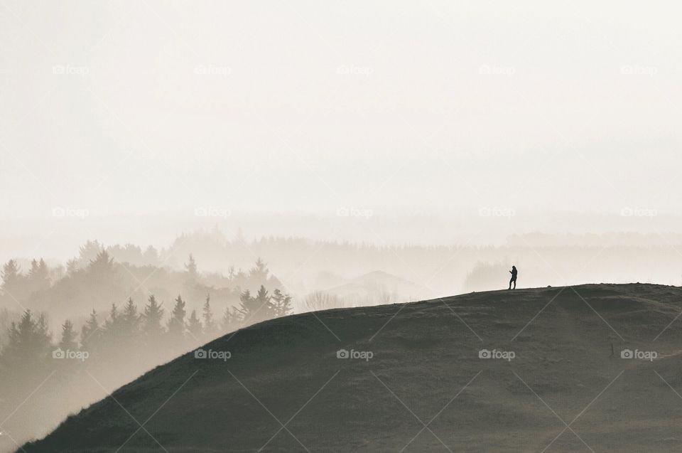 All alone on top of the hill, with a beautiful view. Love the foggy background and the view over the trees
