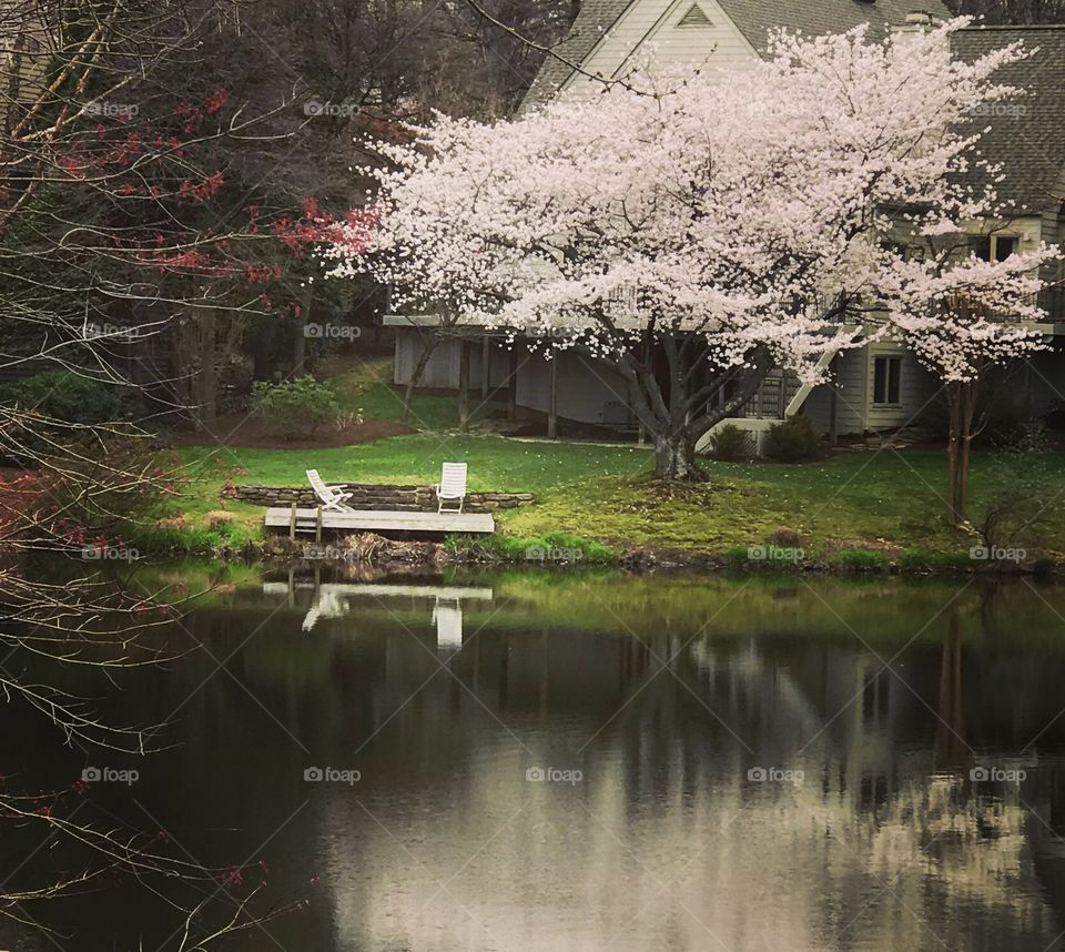 Peaceful sitting area surrounded by the Season of Spring 