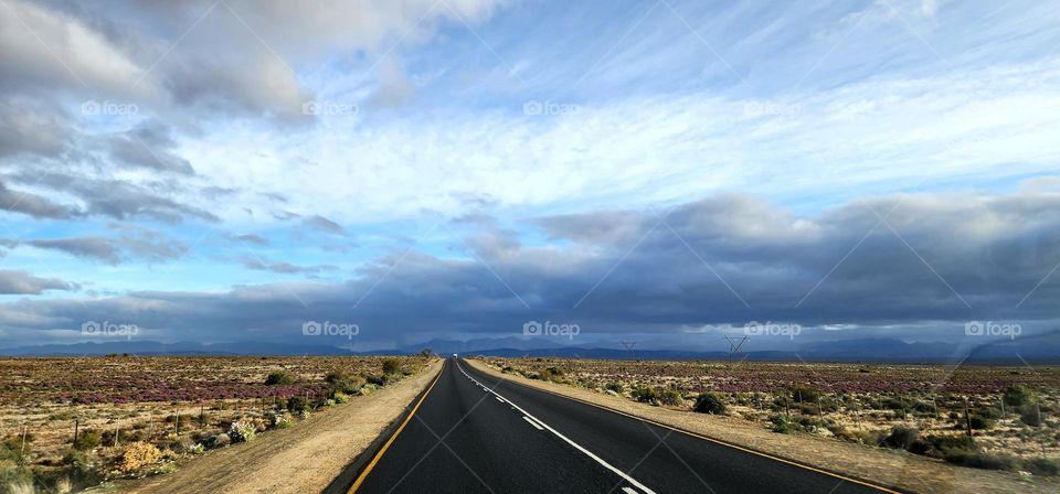 Roadtrip captured somewhere in South Africa