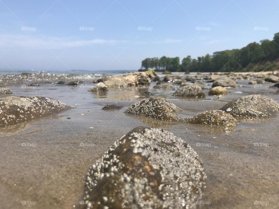 Beach at low tide