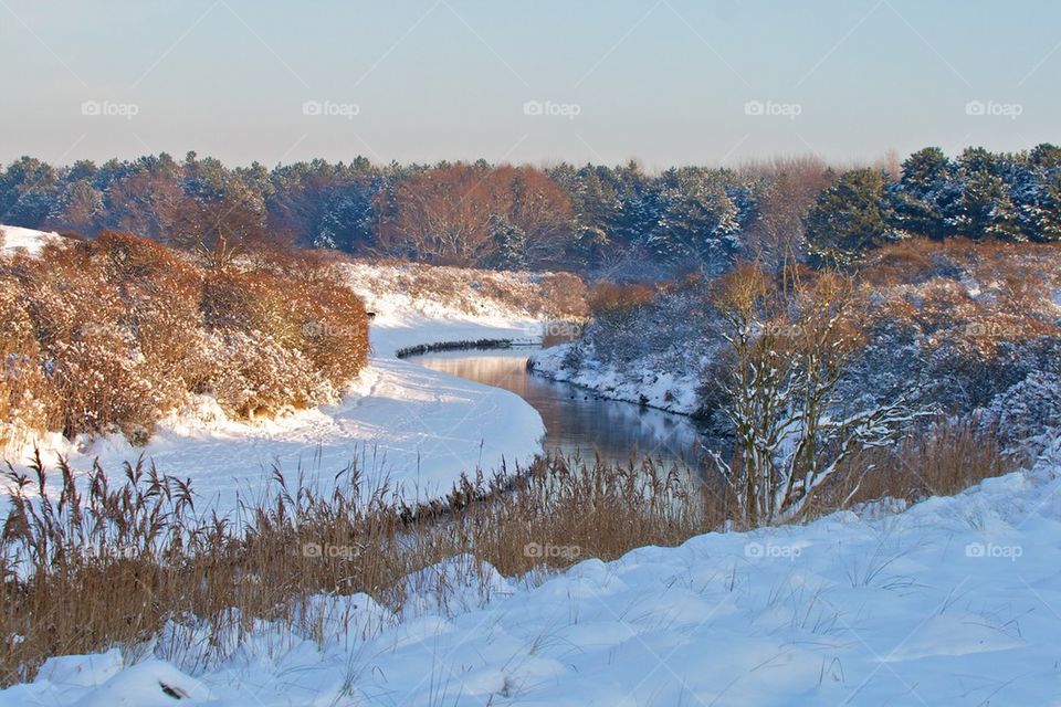 Sunny snow landscape 