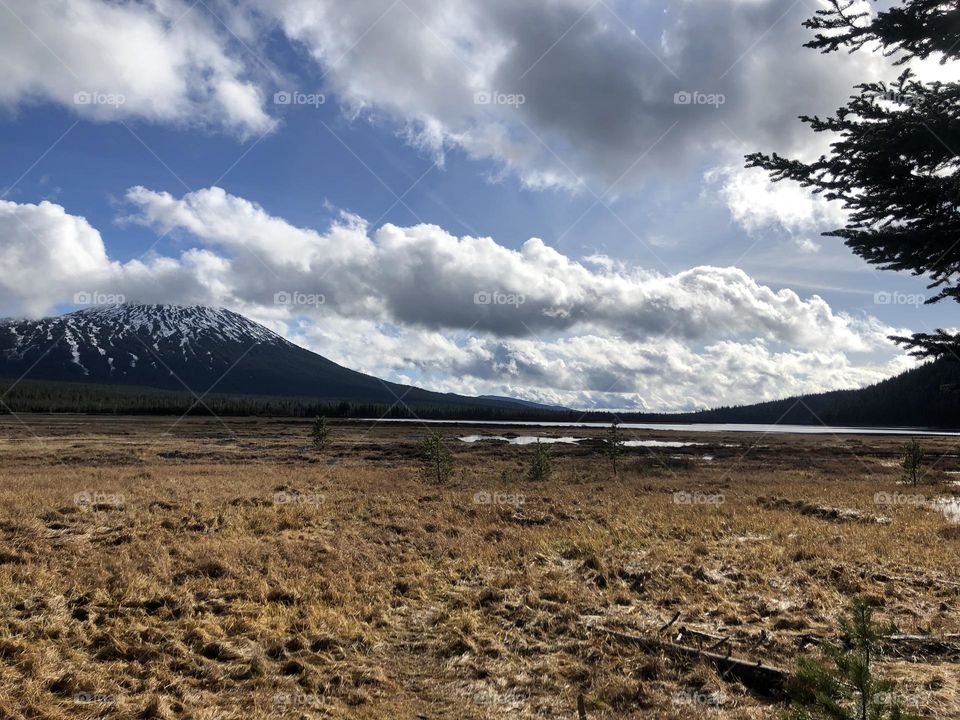 Oregon, I think I took this in bend Oregon but I’m not sure. 