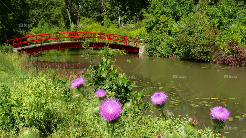 Red bridge. Red bridge at Belle Isle in Detroit, MI