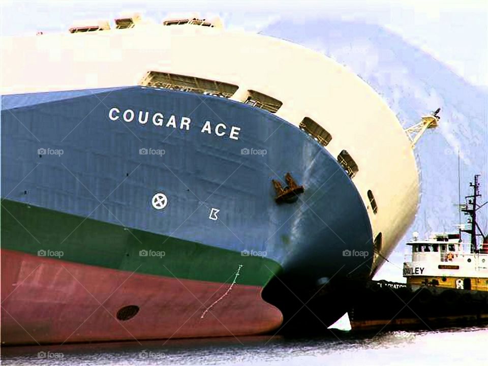Cougar Ace