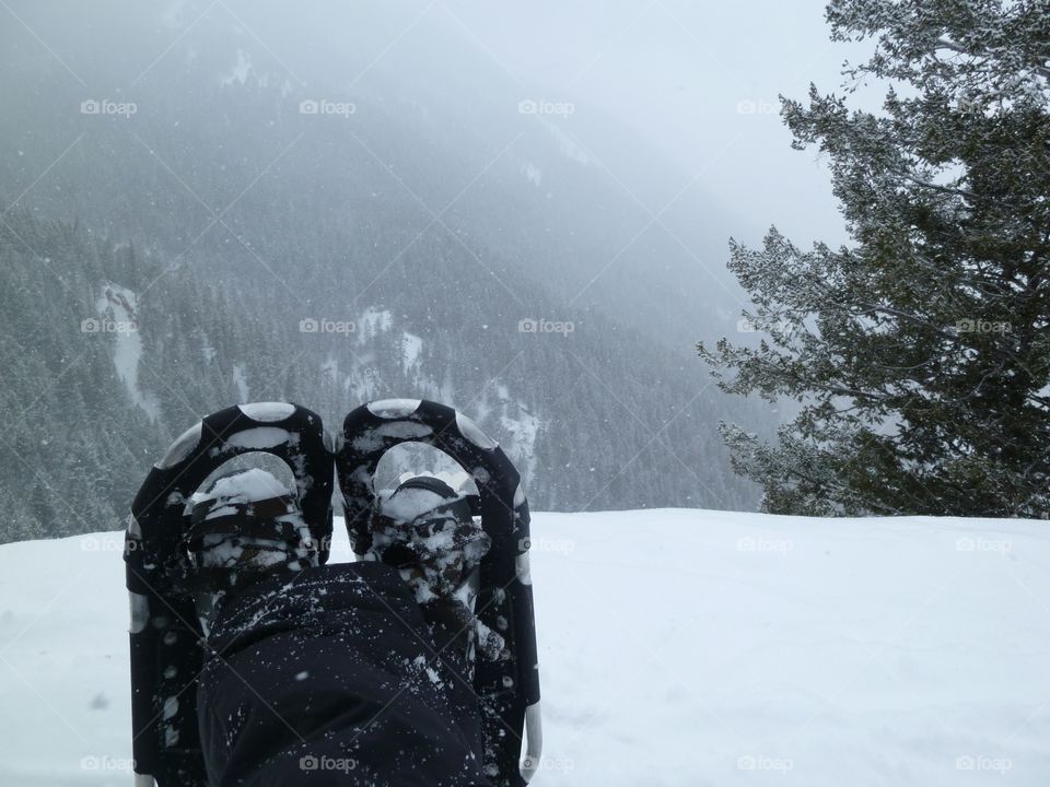 Getting away from it all is good for the soul. Snowflakes falling peacefully in a mountain forest is so relaxing! 