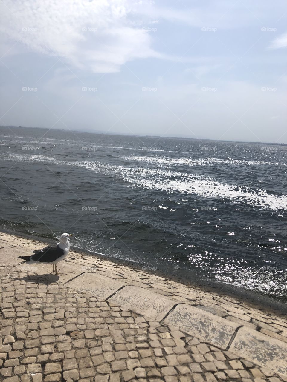 Das wunderschöne Meer in Lissabon ❤️