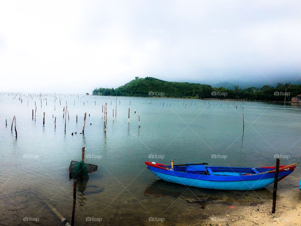 Oyster farm 