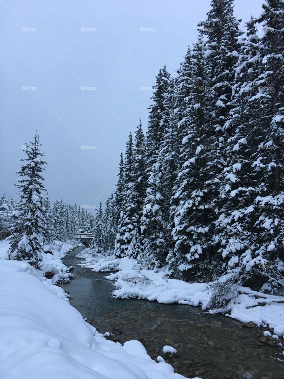 Snow, Winter, No Person, Cold, Wood