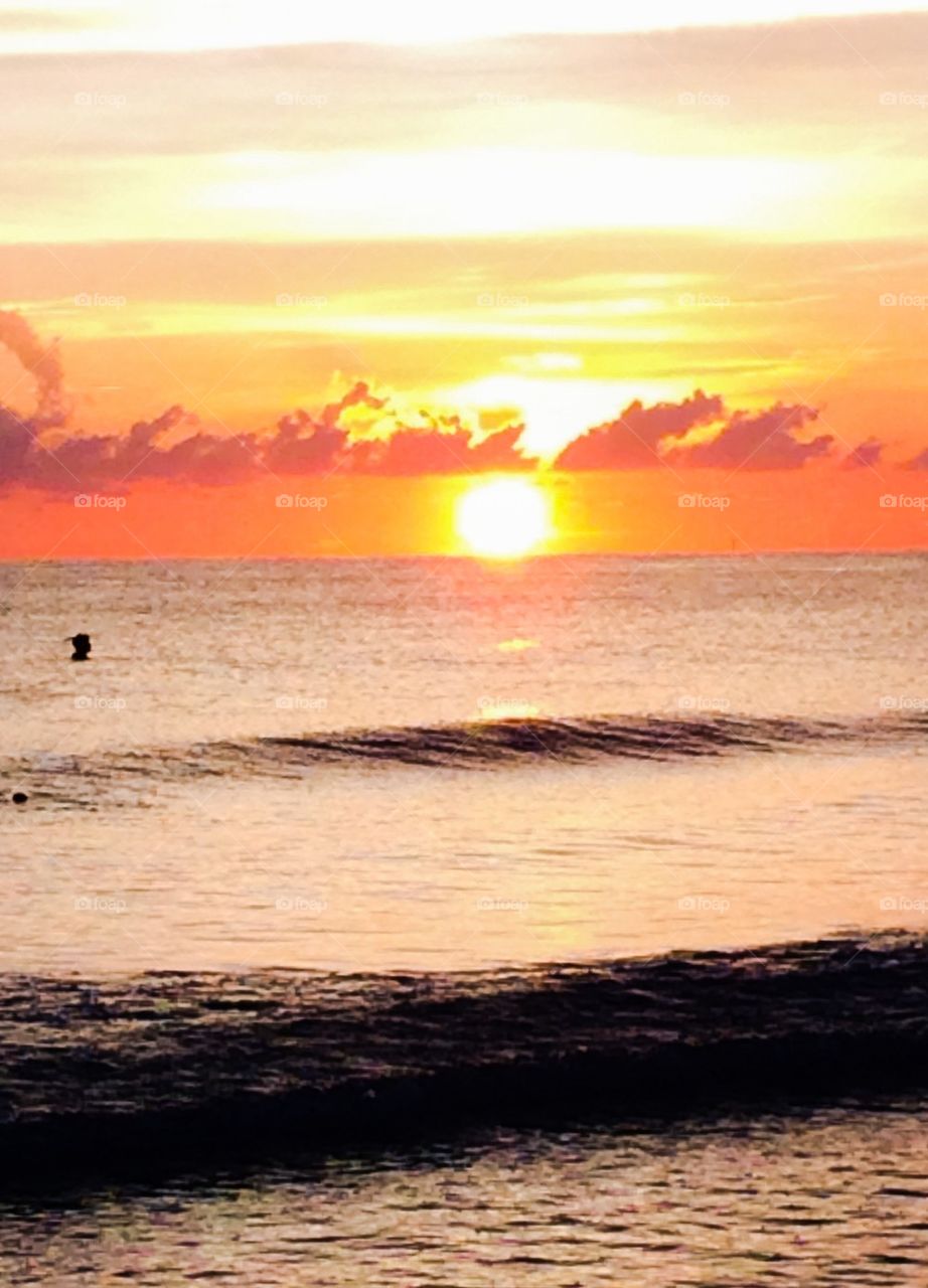 Swimmer at Siesta Key sunset