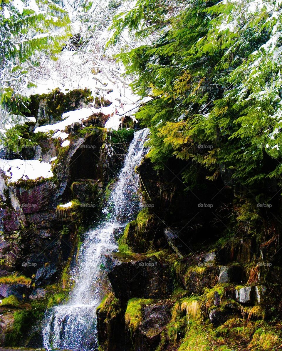 View of waterfall in forest