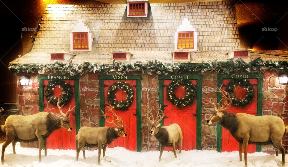 Hotel reindeer display