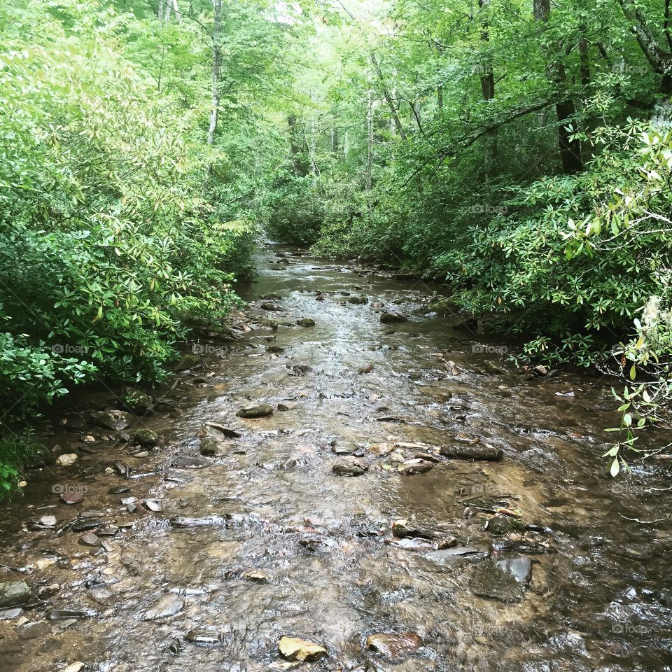 Rocky Creek. The simple beauty of nature 