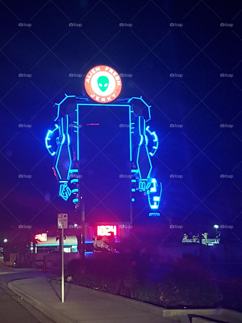 #alien
#las Vegas
#desert
#night
#unique