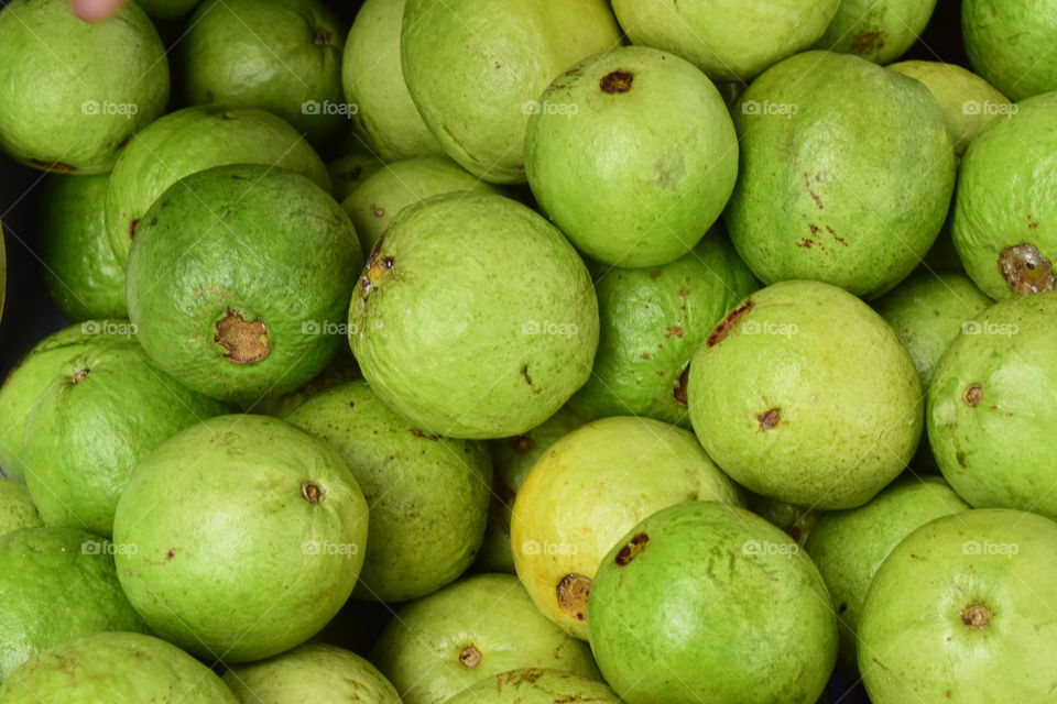 guava fruit,  fresh guava,  fruit forest,  fruit delicious