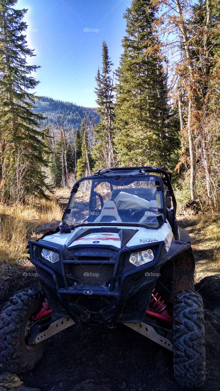 Only accessible by ATV up in the Colorado mountains