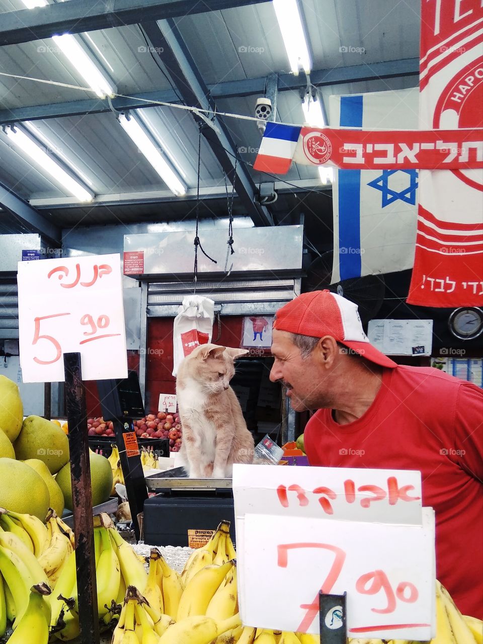 The most unusual scene in the most unexpected place.