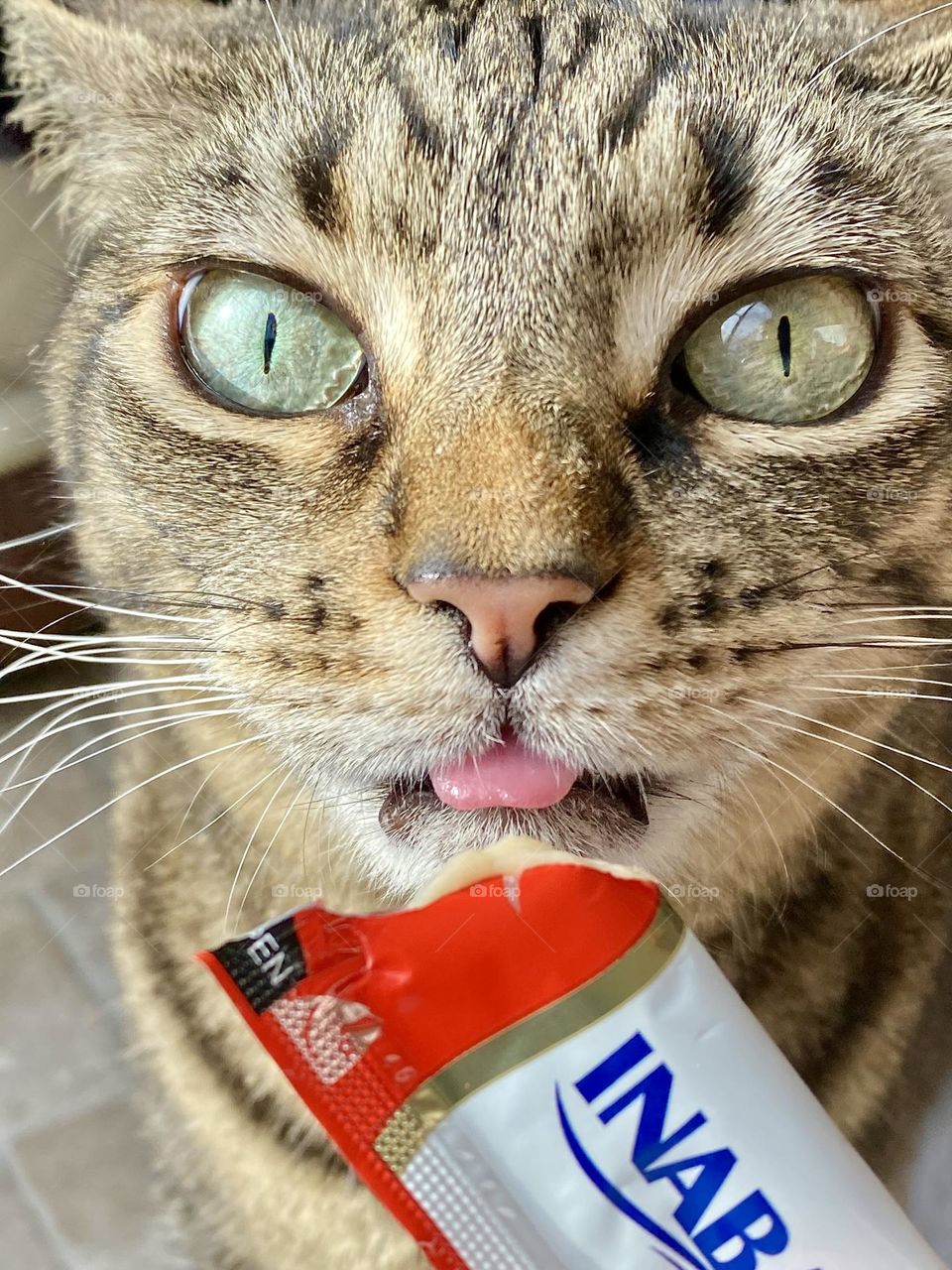 A cat eating a squeezy treat