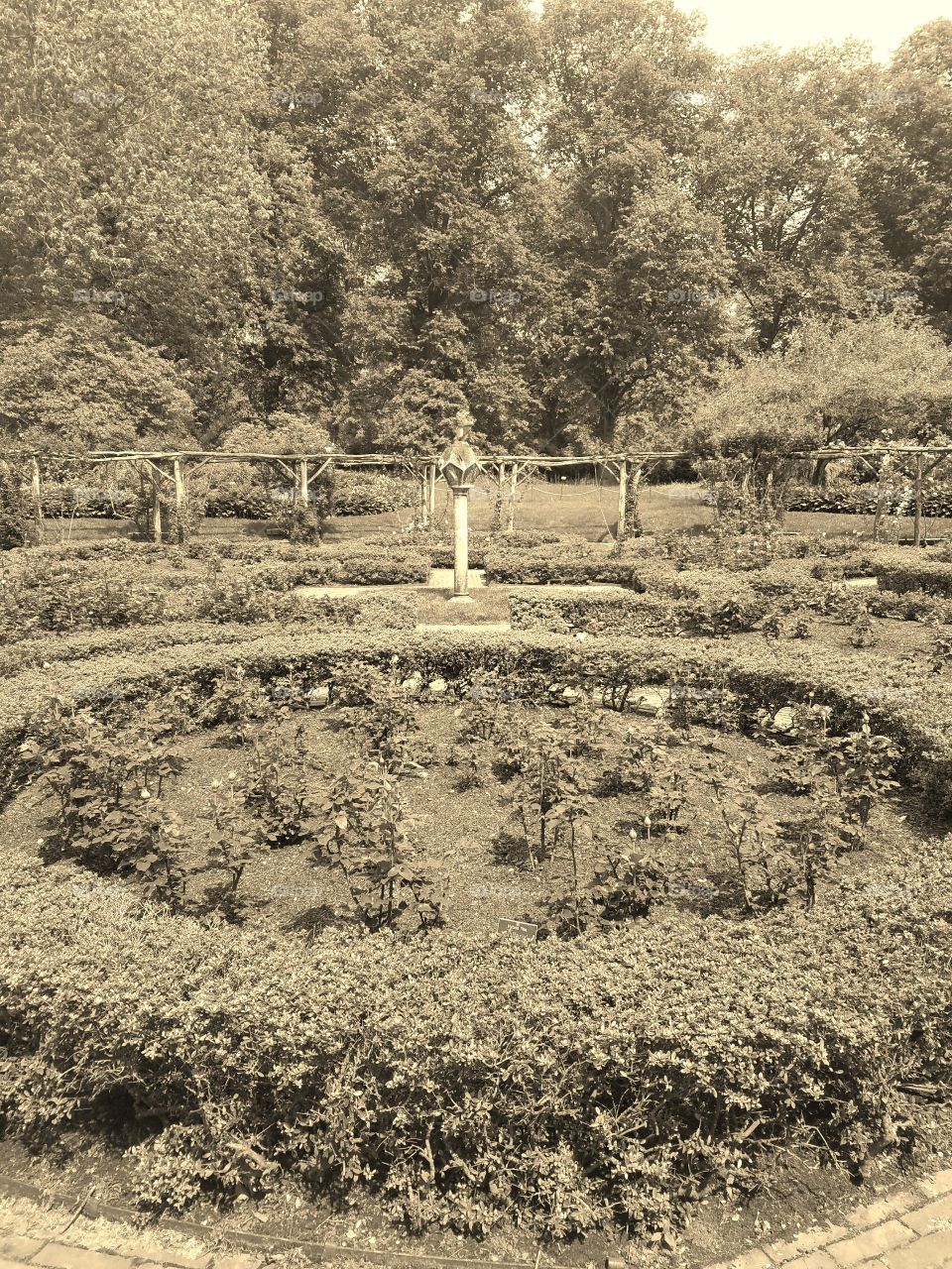 Beginning of Summer at Old Westbury Gardens on Long Island. Mix of Clouds and Sun. Sepia Filter. Walking Path  Captured on Android Phone - Galaxy S7. May 2017.