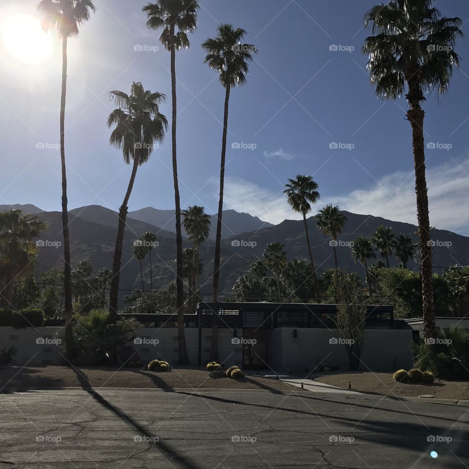 Palm Springs 