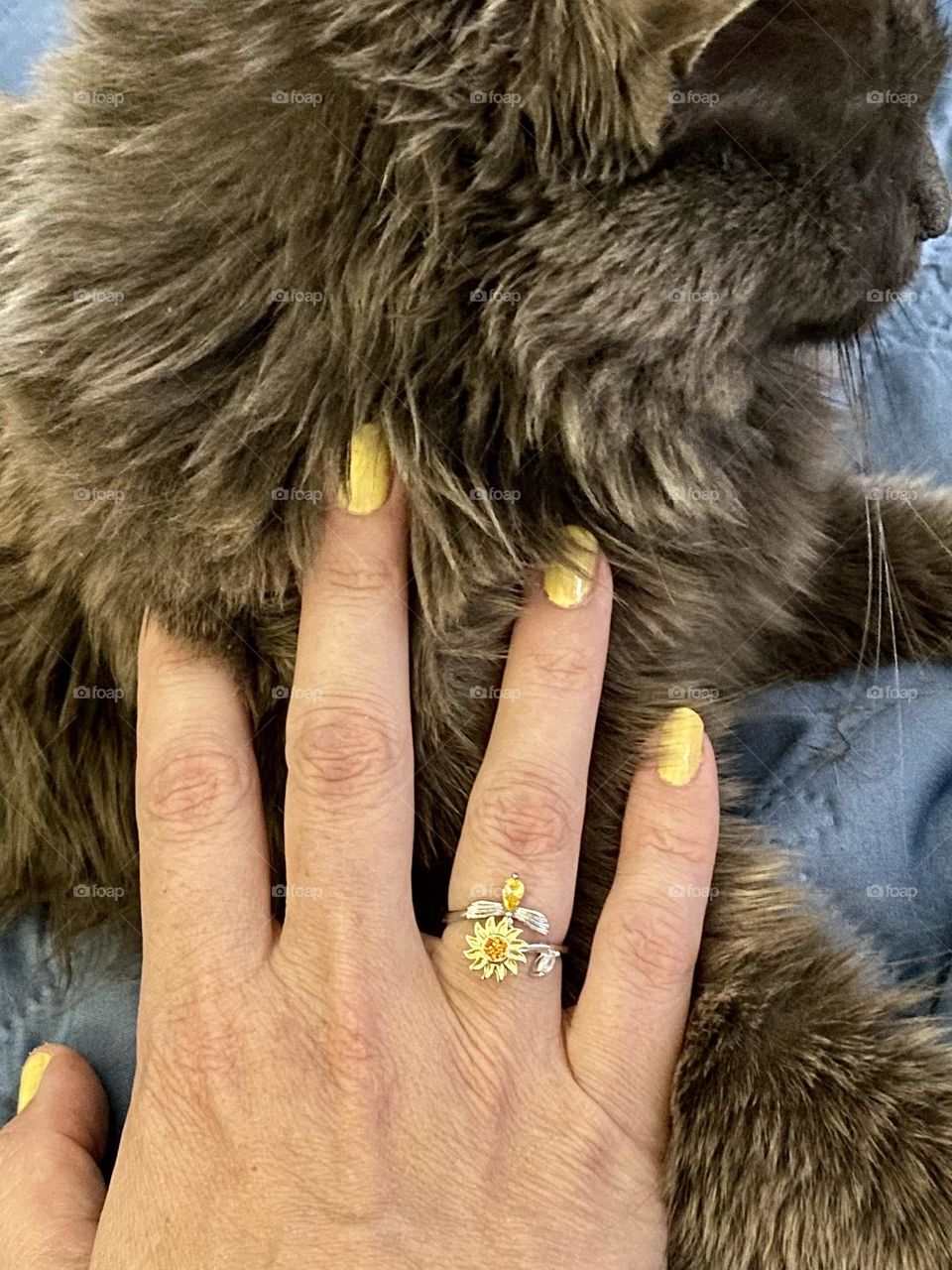 A cat and a hand with yellow fingernails and a ring
