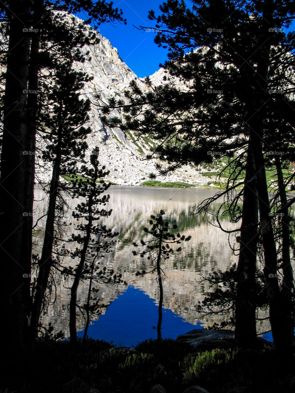 One of the Young Lakes in Yosemite, California behind the silhouette of trees.
