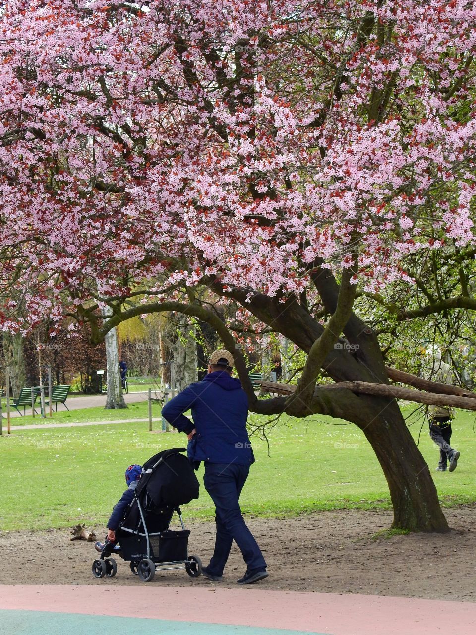 A walk in the park