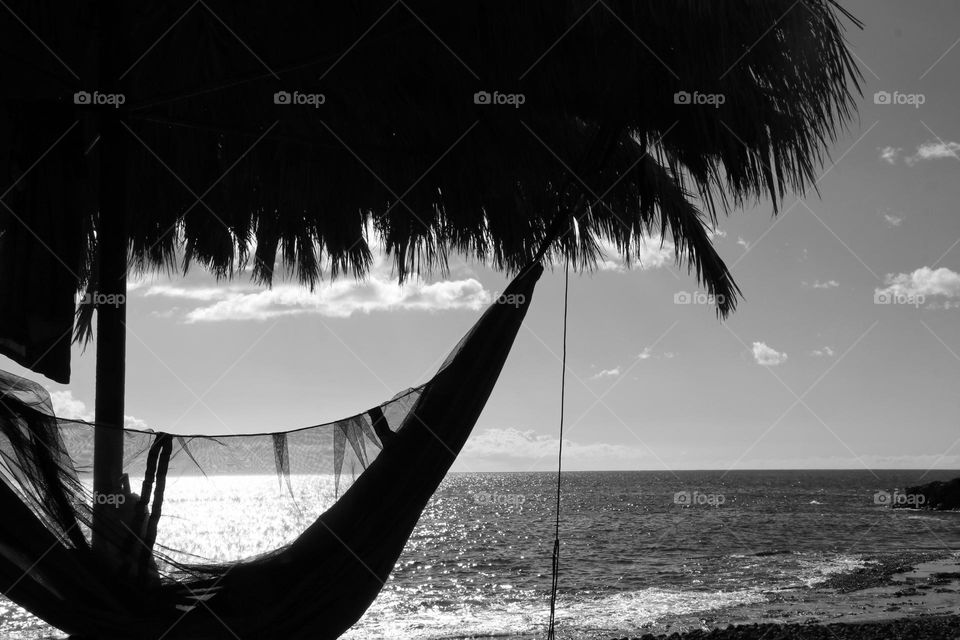 Black and white photo of a hammock on a palm tree on the beach