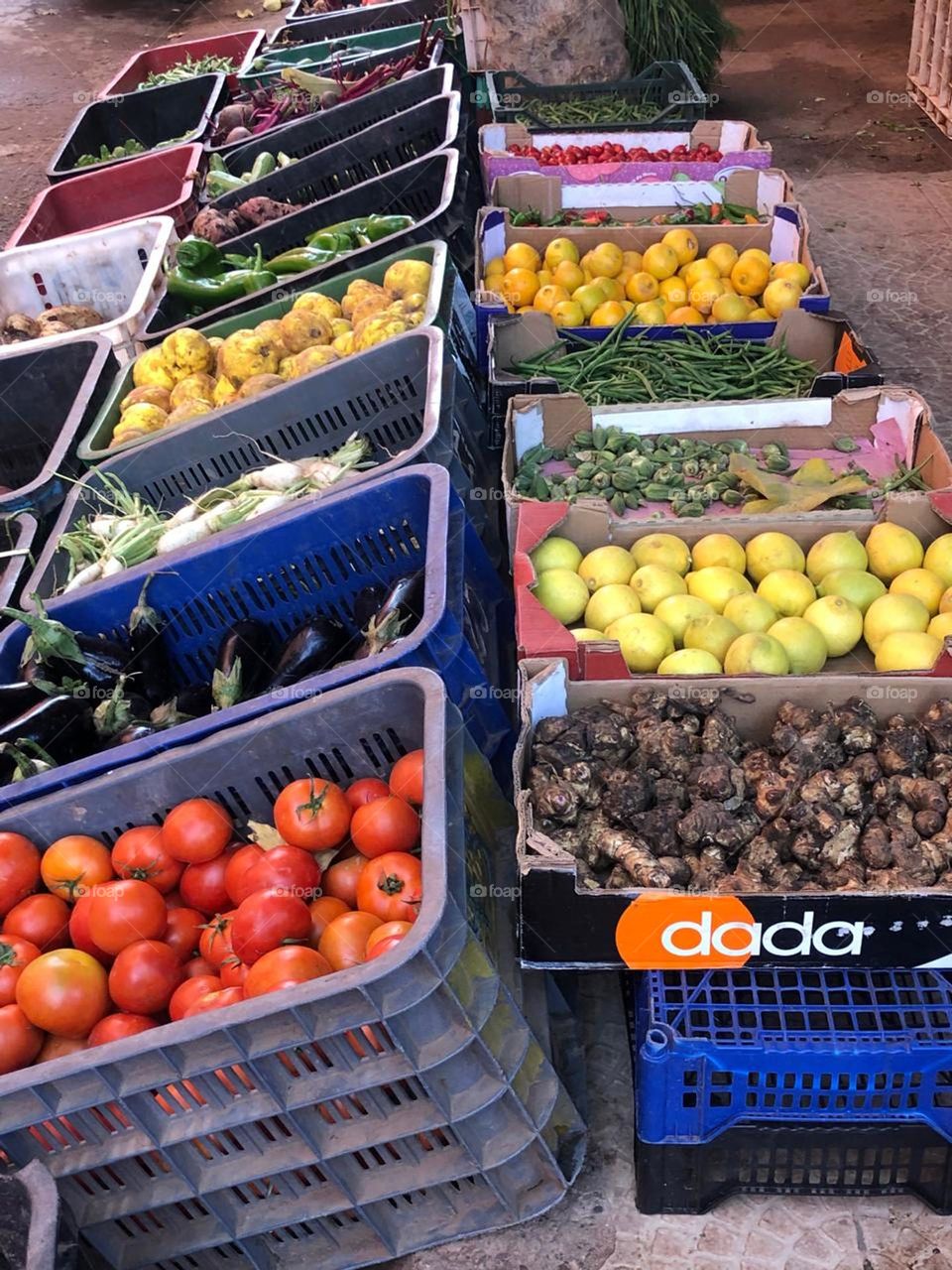 beautiful and multicolor vegetables