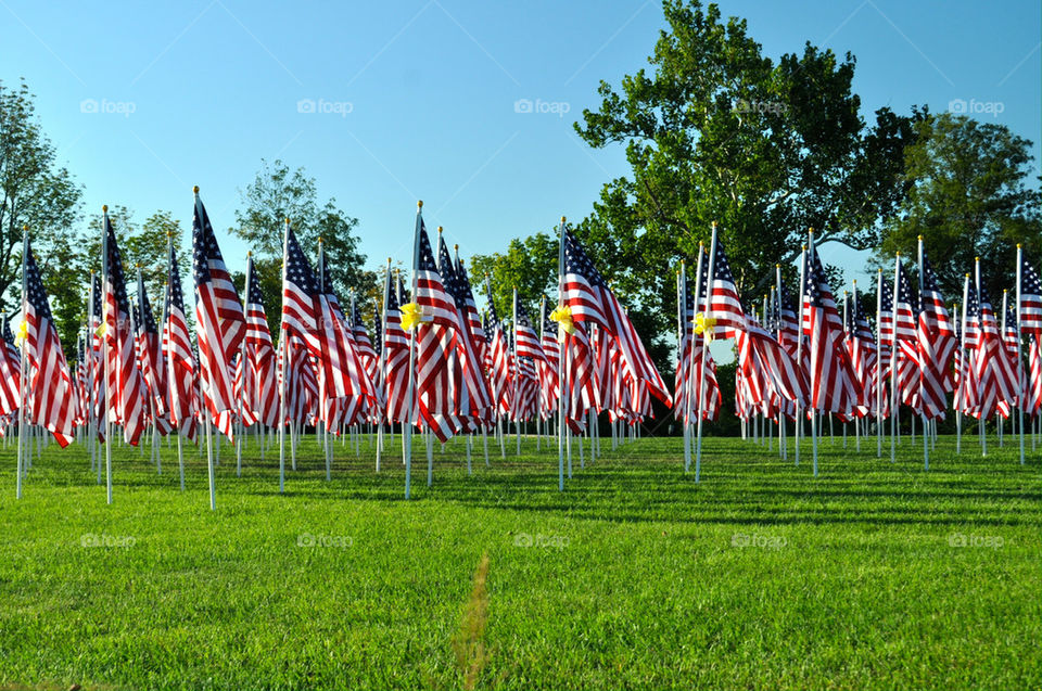 Flags