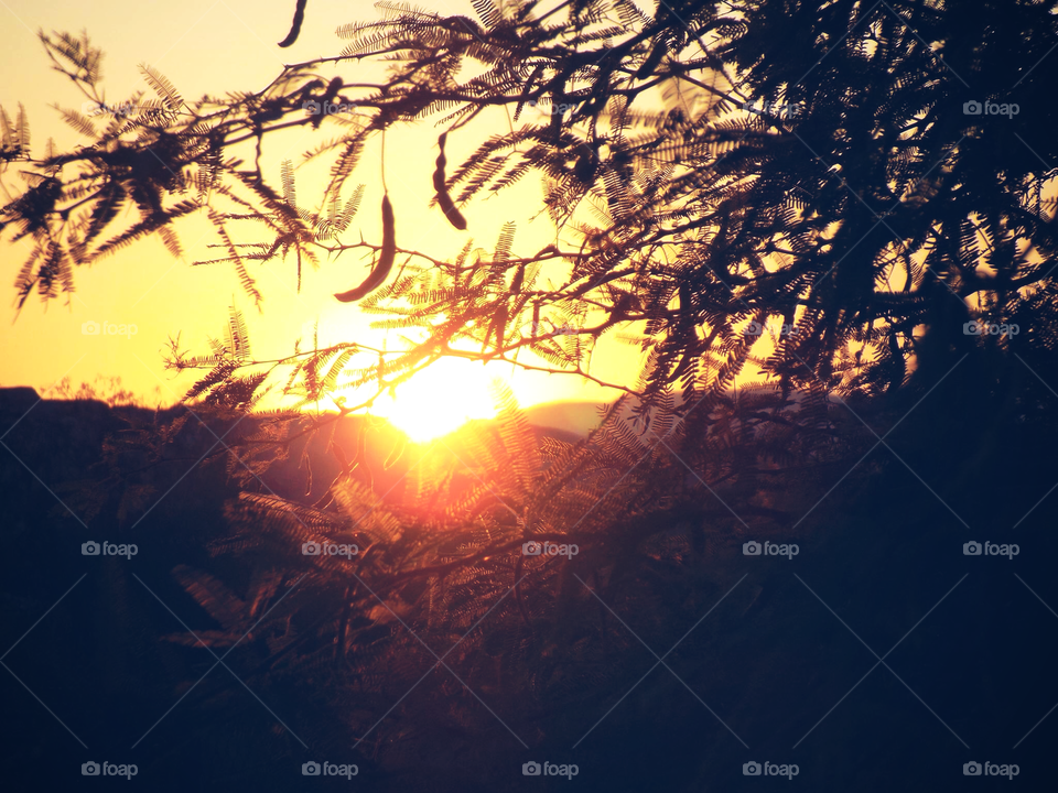 Sunset in the Negev Desert 