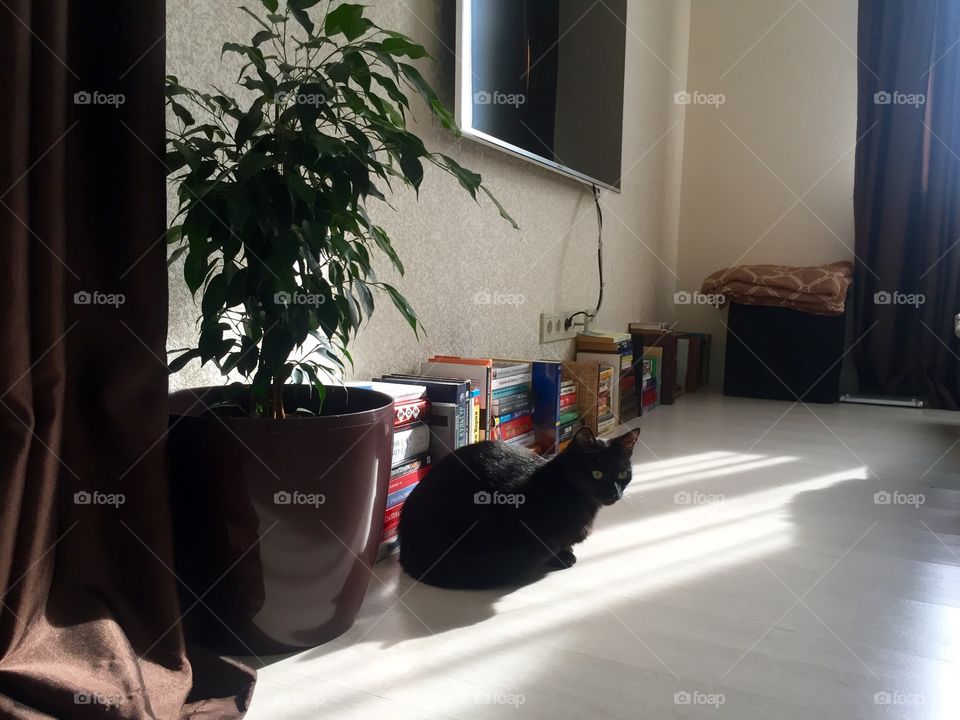 Books on the floor in the apartment