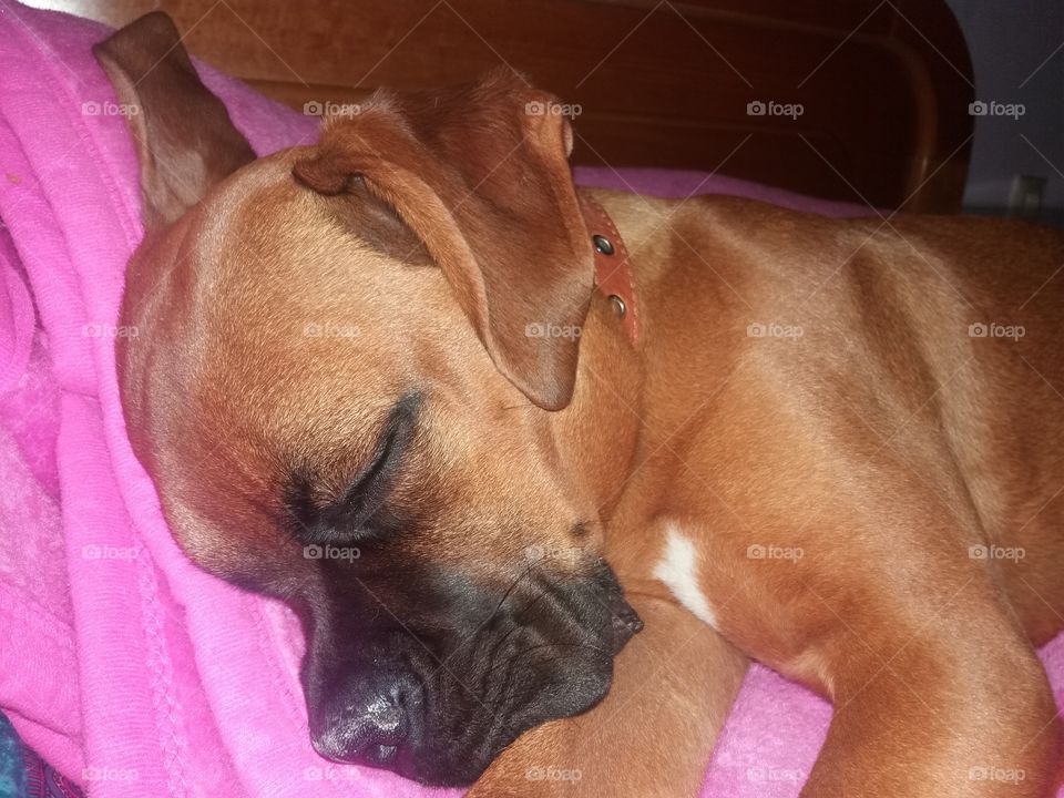 Look how cute he is.