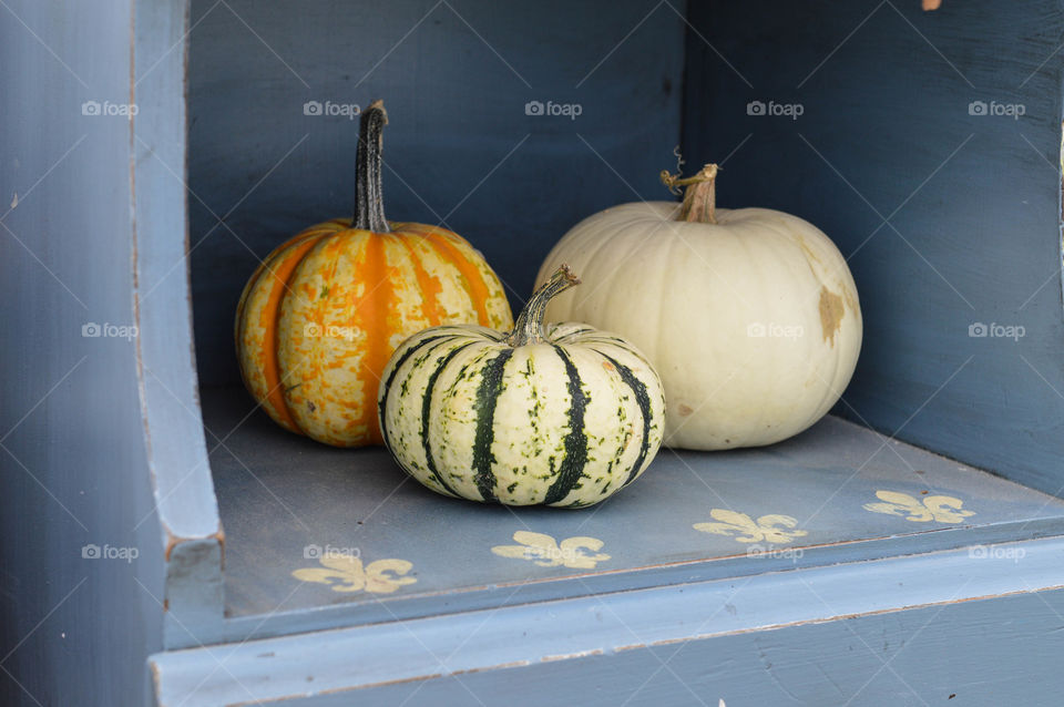 Assorted colored pumpkins on a rustic blue wooden shelf