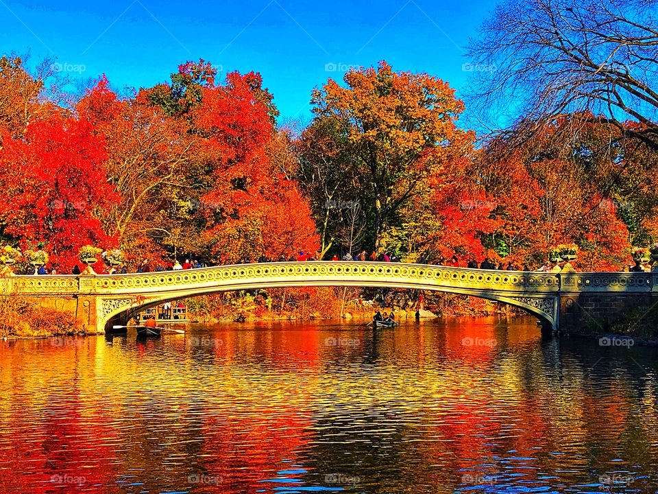 A view of the iconic Bow Bridge at Central Park! The beautiful autumn leaves surround the bridge. 