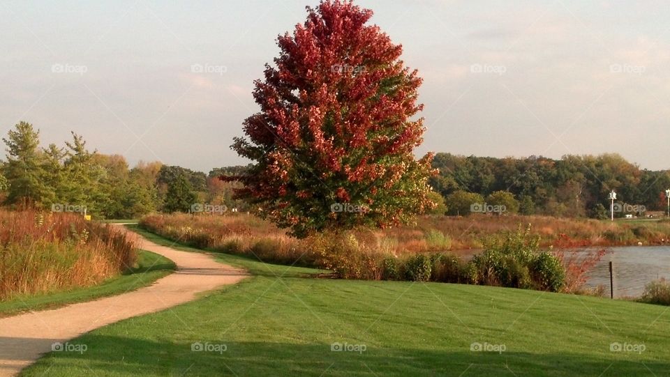 beautiful fall colors