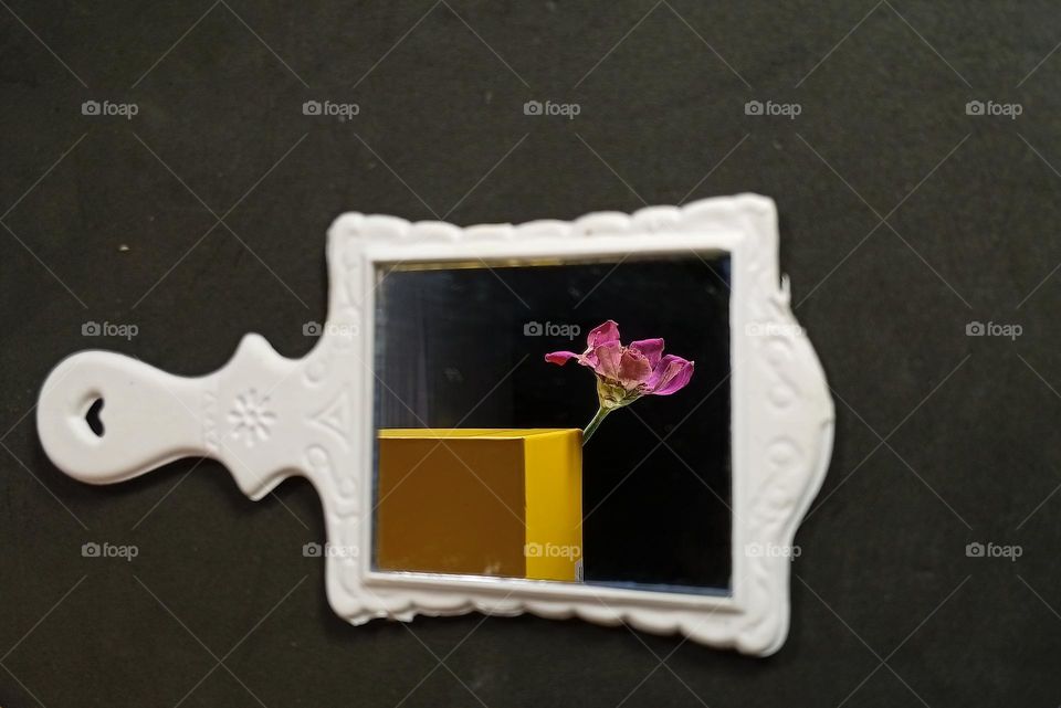 flower in the mirror