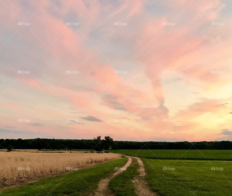 Dirt Road at Sunset