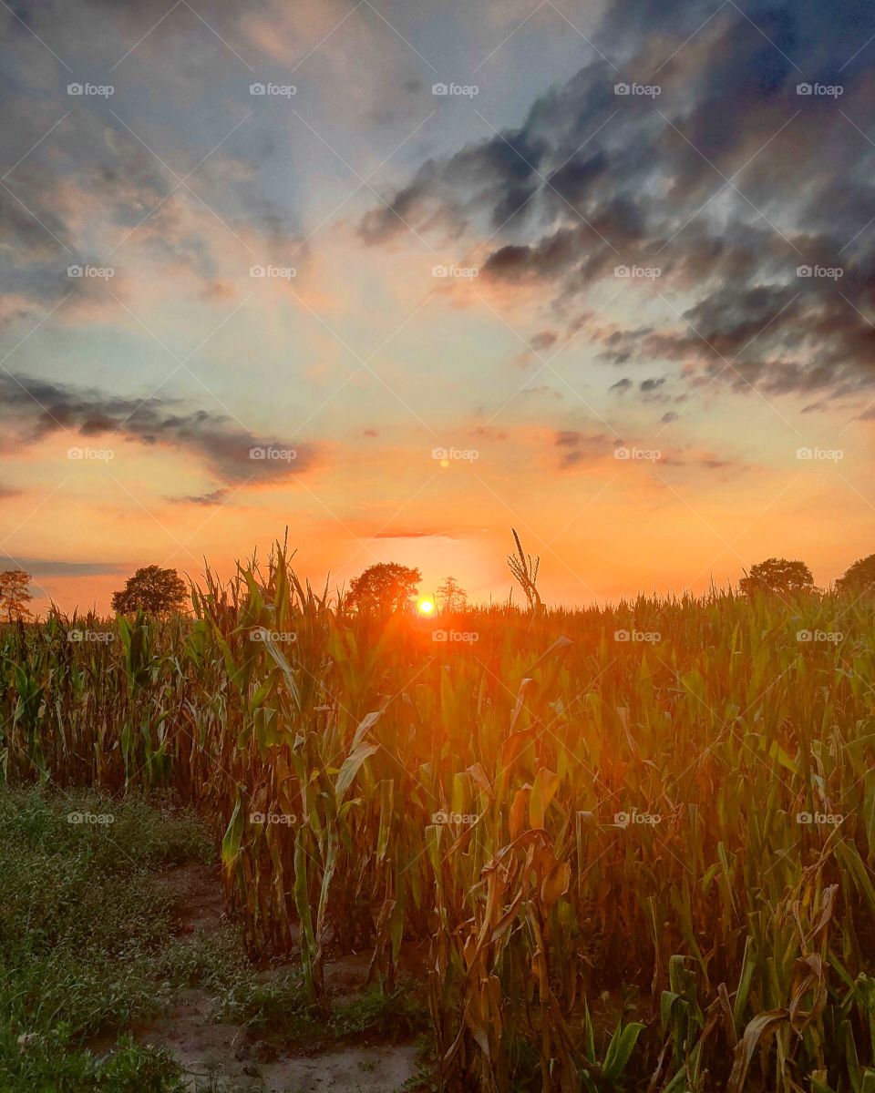 Orange to black sunset 