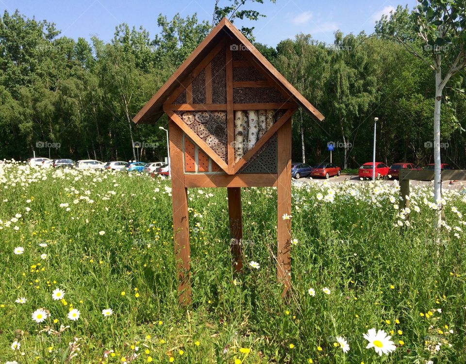 Insect hotel outside St Peters Hospital, Chertsey, Surrey, England.