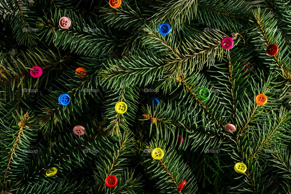 Colorful buttons on pine tree