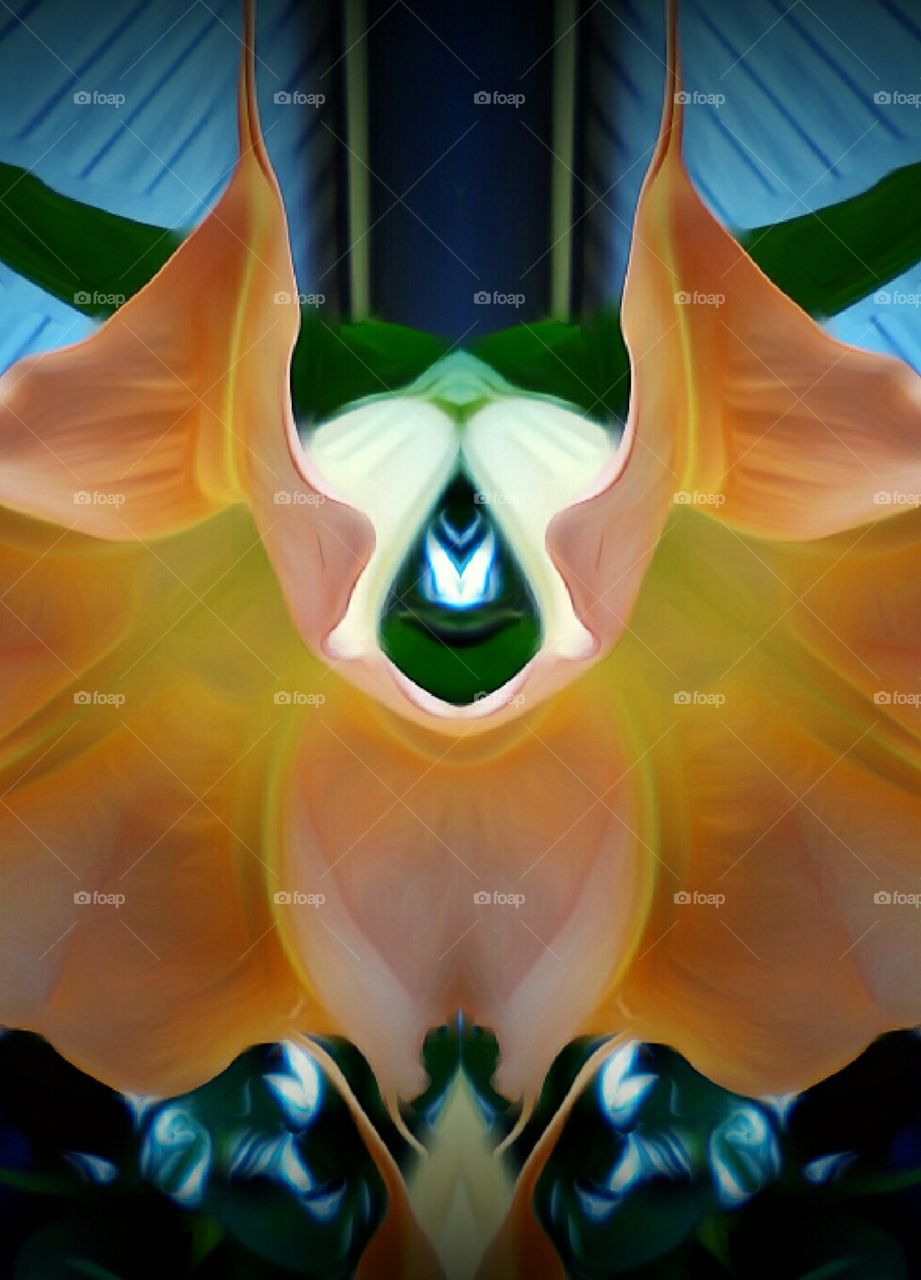 Angel Trumpets Flowers Abstract